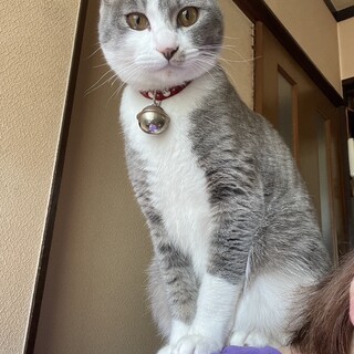 ゴロスリふぅちゃんに安住が決まりました！