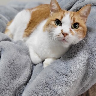 癒し系男子♡　ピーちゃん♂