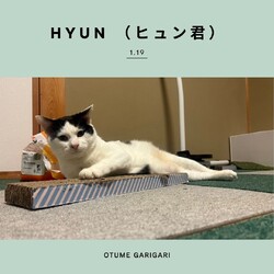 サロンドねこ譲渡会 サムネイル2