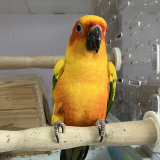 ご応募された方々、ありがとうございました。