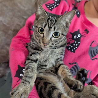 恐がりだけど甘えたい☆ぱーるちゃん