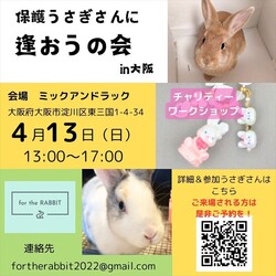 保護うさぎさんに逢おうの会in大阪