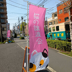 「４月５日（土）「保護猫の譲渡会」　ご報告」サムネイル1