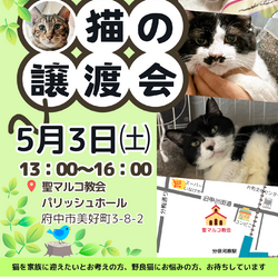 「５月３日の保護猫譲渡会」サムネイル1