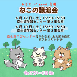 ☆彡ほごねこ譲渡会☆彡