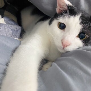 おっとり♡優しい男の子♡タキくん