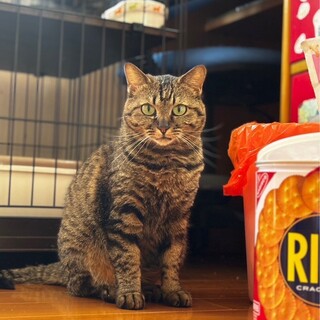 グリーンの瞳が綺麗♥小柄なリズちゃん