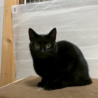 6/1西千葉ෆ⃛かなり人馴れしましたෆ⃛梅ちゃん