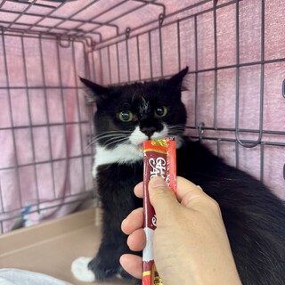 4/13幕張ෆ⃛フォルムが可愛いෆ⃛もにちゃん