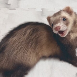 大事に育ててくれる方