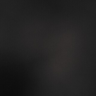 ミニチュアダックス