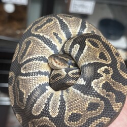 「最近の様子②」サムネイル3