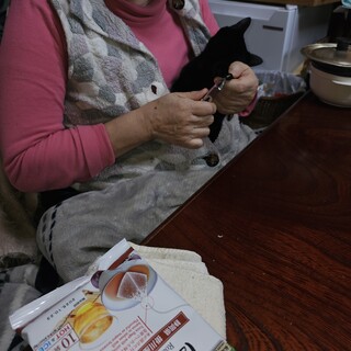 甘えん坊、ベルちゃん