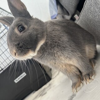 大事に育ててくれる方