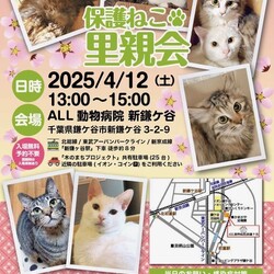 ふくねこや譲渡会 サムネイル1