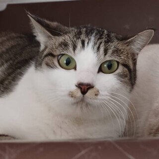 家族が見つかりました!ありがとうございました!