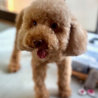 25-W76　良い子です！！