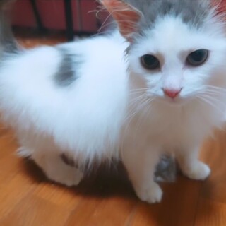 至急！病院前に置いていかれた子