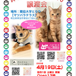 保護ねこ保護わん譲渡会