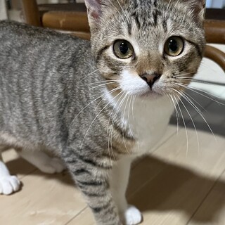 クリクリおめめの男の子