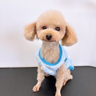 ご家族が決まりました！！