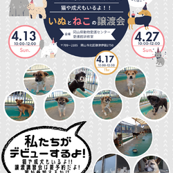 犬・猫の飼い方講習会・譲渡会 サムネイル3