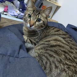 空と天　生後12ヶ月