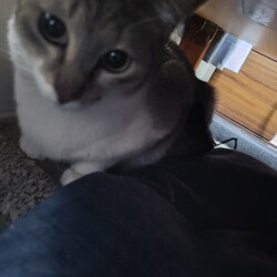 「空と天　生後12ヶ月」サムネイル2