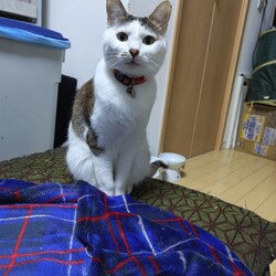 「空と天　生後12ヶ月」サムネイル3