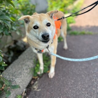 おやつ大好き【アユン】ちゃん