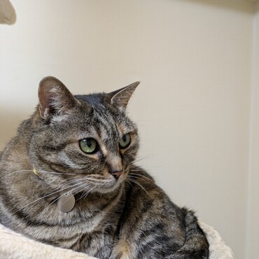 つゆ吉ぼうや、こんにちは。あいかわらずイケメンだわ。良かったら、また遊んでね。