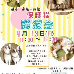 秘密結社ねこのひげ♡保護猫譲渡会