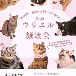 あまえんぼうがいっぱい！ウリエル譲渡会