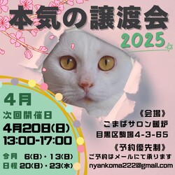 本気の譲渡会