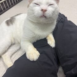 はじめまして　はな・だい　と申します