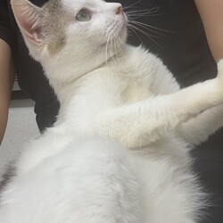 「はじめまして　はな・だい　と申します」サムネイル3