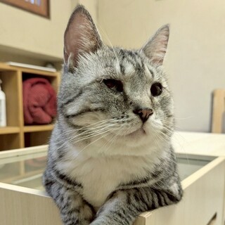 食いしん坊なら負けないよ★元気いっぱい「ヤドン」