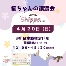 ひらこましっぽの譲渡会（錦糸町 日本動物21）