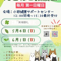 えどねこ譲渡会 江戸川区保健所（小岩健康サポートセンター）