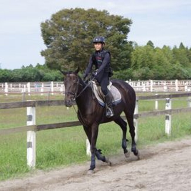 アニベジのカバー写真