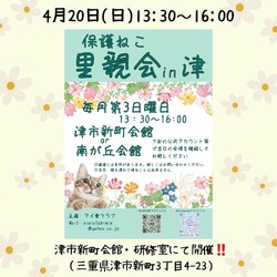 4/20保護猫の里親会in津市