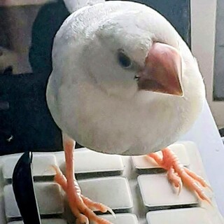 飼い主に万が一の事があった時にお願いいたします