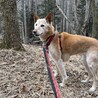 もうすぐ14歳！元気なおばあちゃん サムネイル2