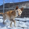 もうすぐ14歳！元気なおばあちゃん サムネイル3