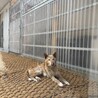もうすぐ14歳！元気なおばあちゃん サムネイル4