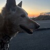 もうすぐ14歳！元気なおばあちゃん サムネイル5
