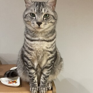 bigボディーだけど超甘えん坊♡デンくん