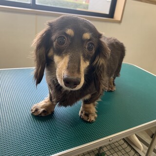 おっとりさんな女の子！