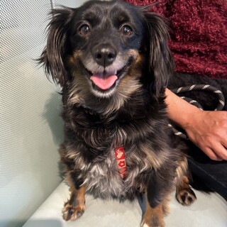 子供っぽさの抜けないちょっぴりビビりなくぅ君