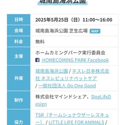 Home Coming Park サムネイル2